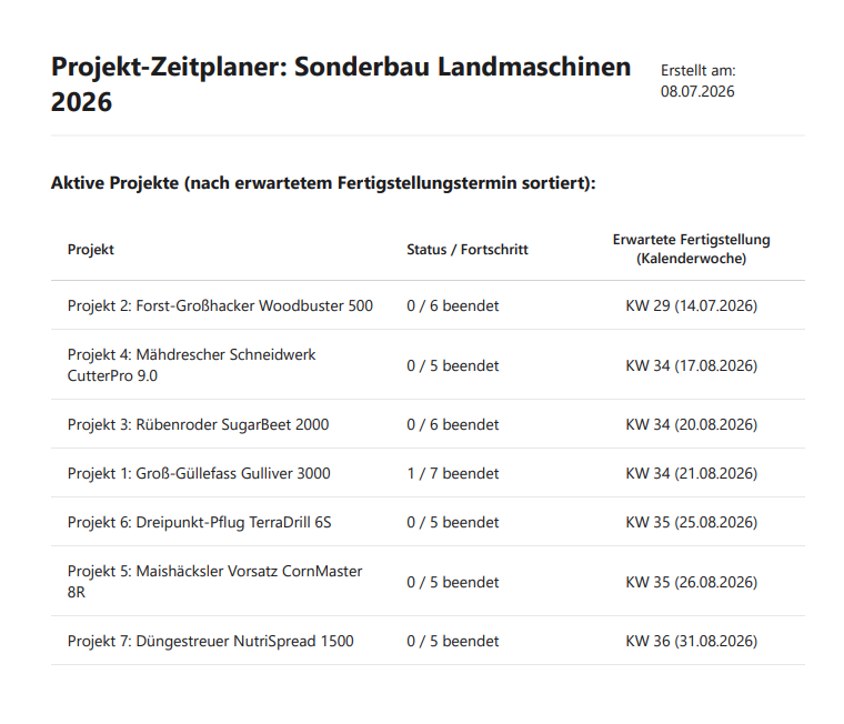 Projektansicht Druckvorschau